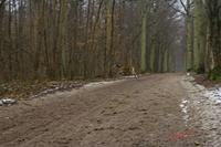 Cjp_2009_02_13_160221 (2).jpg